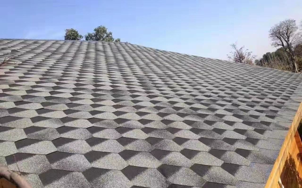 B6f9d75e6fb21628dc56a5ec7471f5a