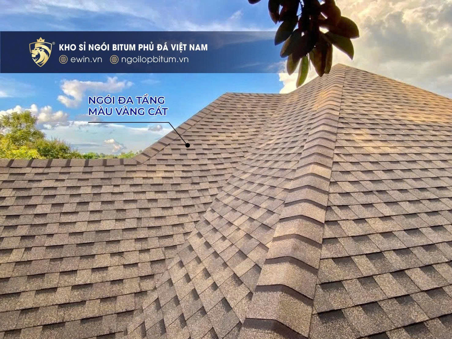 Z6780802757583 723e9f85a59e491305c7c01ad1e12c15